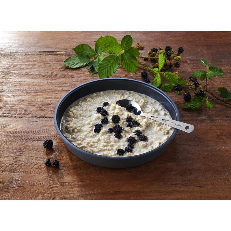 Trek'N Eat Breakfast meal Protein Porridge Dehydrated outdoor camping food