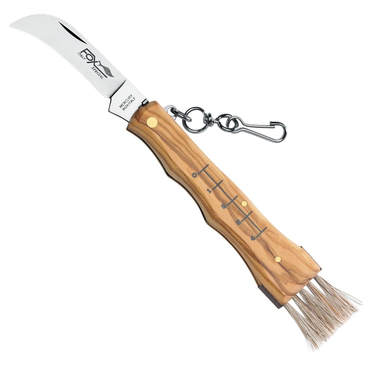 FoxKnives MUSHROOM KNIFE 405 OL Fixed Mushroom Knife AISI 420C Stainless Steel main image 0
