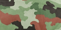 M93 Oak Leaf